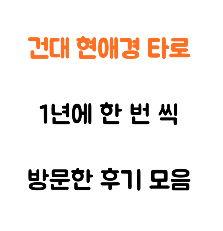  (내돈 내산) 건대 현애경 타로 사주 타로점 (솔직 후기) 친구들과 매년 방문하는 곳