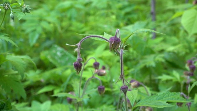 부동산자산관리전문가 무료 교육 , 부동산자산관리사 자격증 온라인으로 합격한 팁 정리