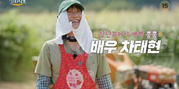 <b>산지직송</b> 6화 예고 <b>염정아</b>를... 9단 <b>차태현</b> 출연 8월 22일 방송