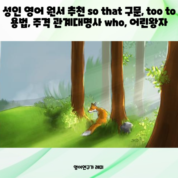 성인 영어 원서 추천 so that 구문, too to 용법, 주격 관계대명사 who, 어린왕자 성인 영어 원서 추천 so that 구문, too to 용법, 주격 관계대명사 who, 어린왕자
