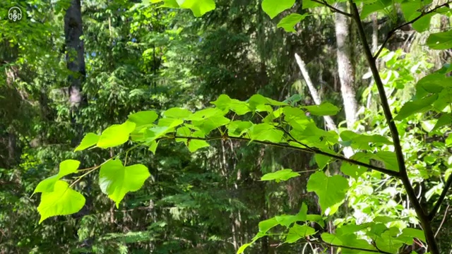  부동산자산관리전문가 강사 , 부동산자산관리사 자격증 한달 만에 준비한 방법 보고가세요