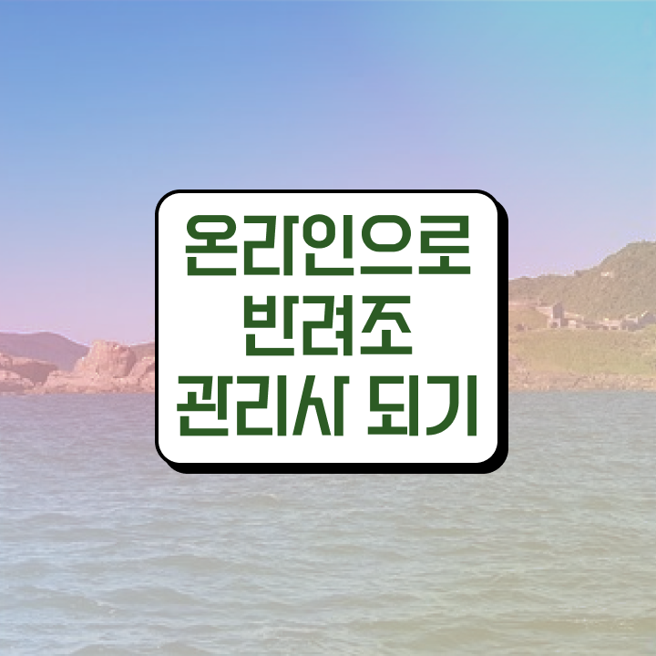  애완조류 , 반려조관리사 자격증 취득한 과정 소개