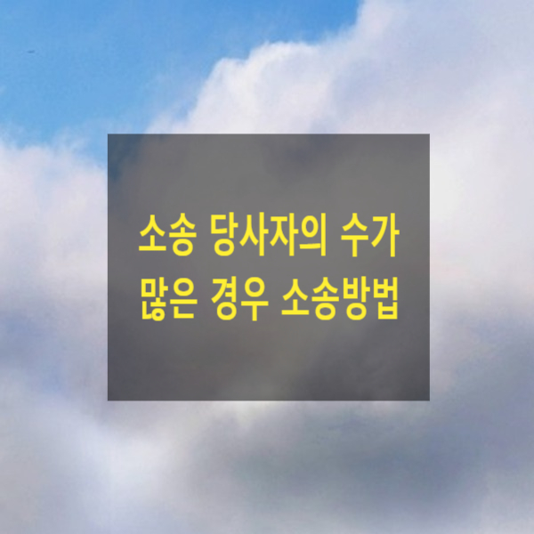  소송 당사자의 수가 많은 경우 소송방법(공동소송, 선정당사자)