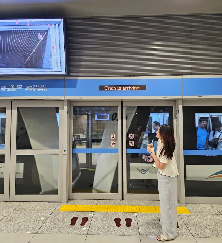  세부 3박 5일 태교여행(자유여행) 1일차 일정(인천공항, 세부, 탑스파, 놀자호핑, 첫날팩, 임산부)