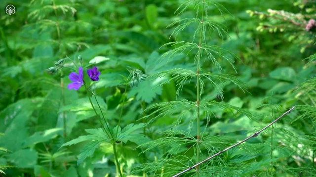 , 이미지메이킹 자격증 시험준비 필수 정보