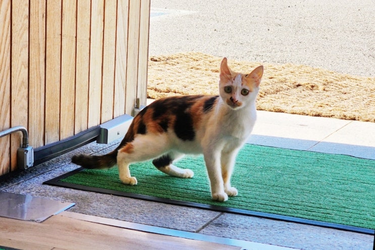  24년 8월 19일
