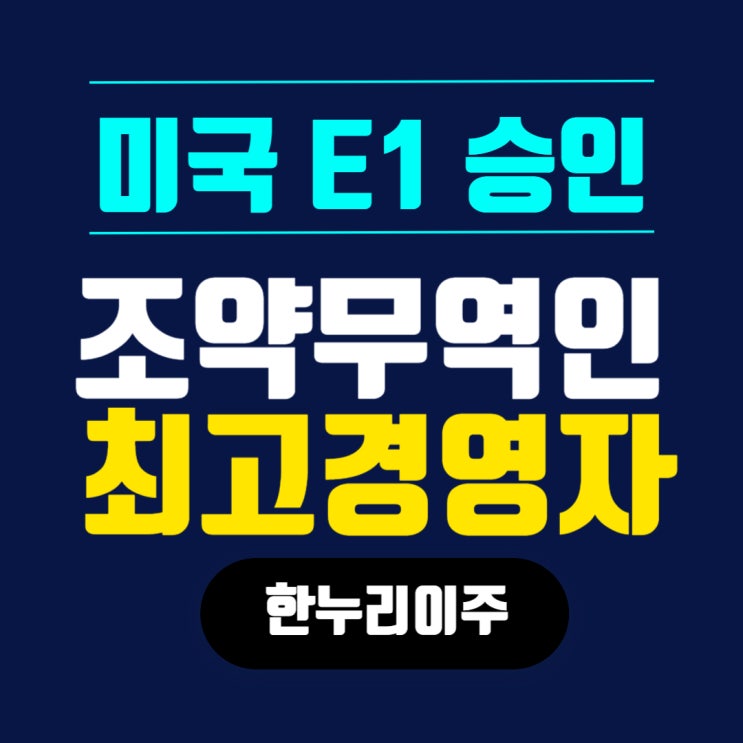  조약 무역인 최고경영자의 미국  E1 비자