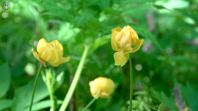  사무행정전문가 연봉 , 사무행정전문가 자격증 단기간에 합격한 전략 , 채용 정보