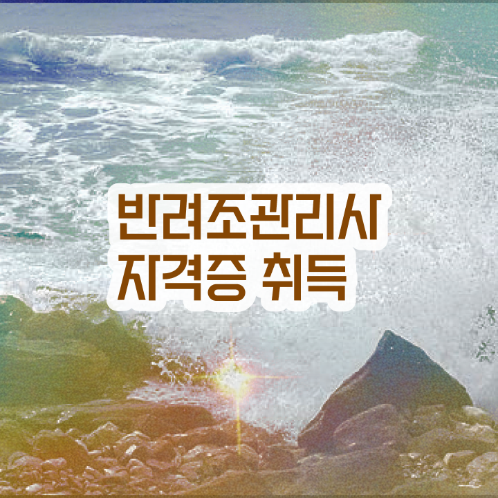  앵무새 장난감 , 반려조관리사 자격증 단기간에 합격한 전략 공유드려요