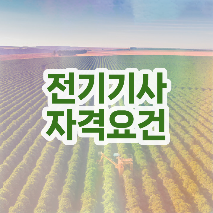  전기기사필기 공부 전기기사 취득자격 온라인 과정으로 4달만에 끝낸 전략
