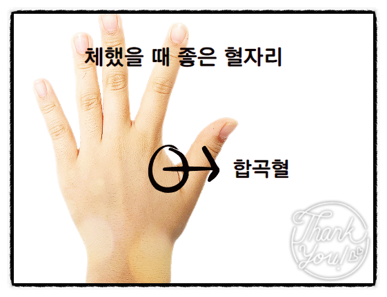  체했을 때 좋은 자세와 음식