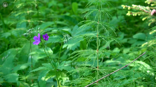  사무행정전문가 학점은행제 , 사무행정전문가 자격증 취득한 노하우 총 정리