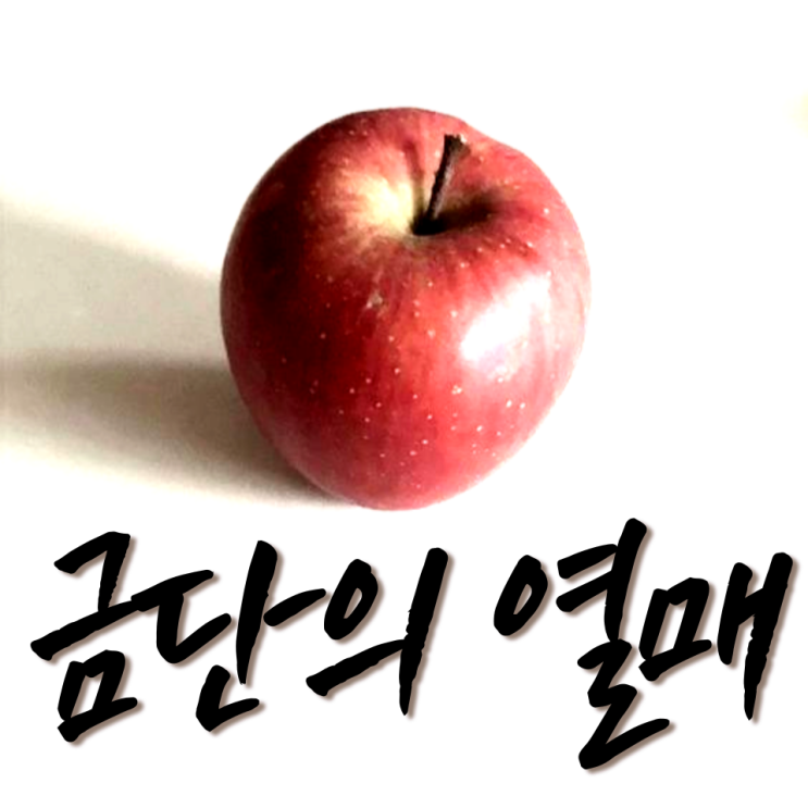  슬기로운 회피형 인간 생활