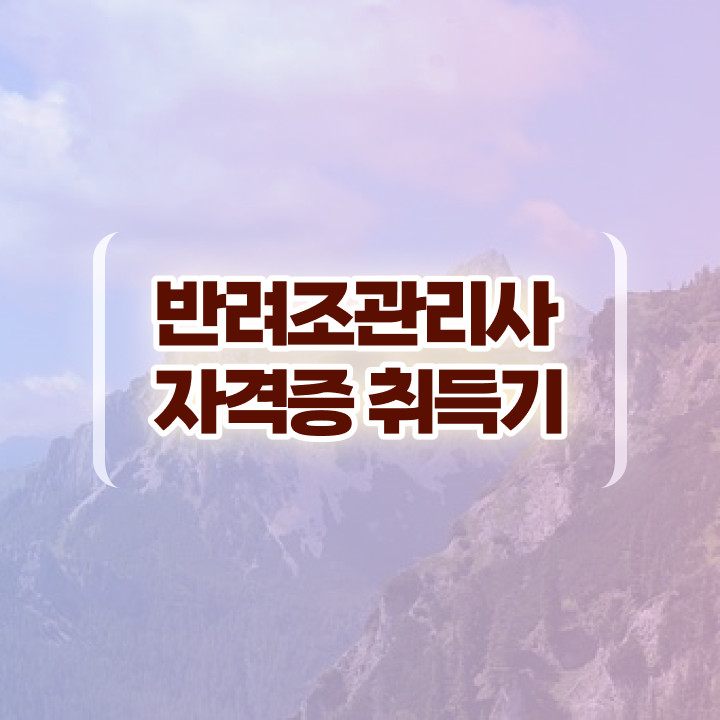  앵무새분양가격 , 반려조관리사 자격증 15일 만에 취득한 정보 요약