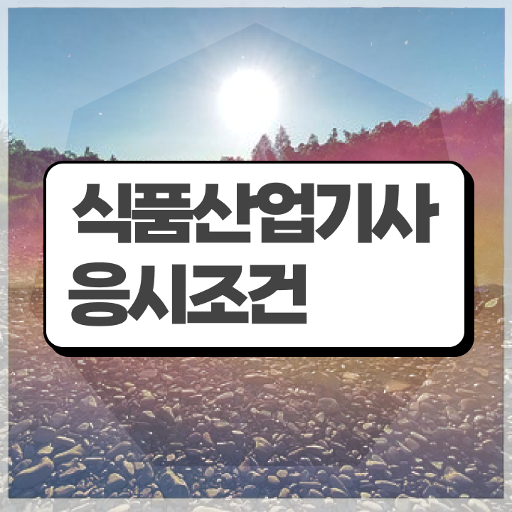  식품 산업기사 합격률 식품산업기사 응시조건 학점은행제로 4달만에 준비한 전략