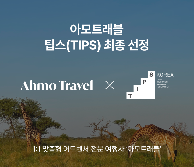  1:1 맞춤형 어드벤처 전문 여행사 ‘아모트래블’, 팁스 R&D 선정