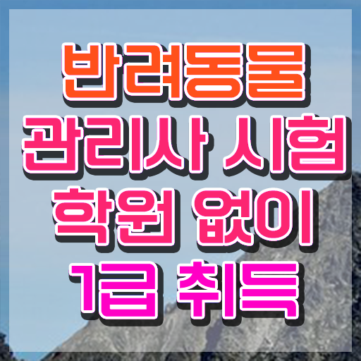  반려견조련사 , 반려동물관리사 자격증 합격한 팁 알아볼게요