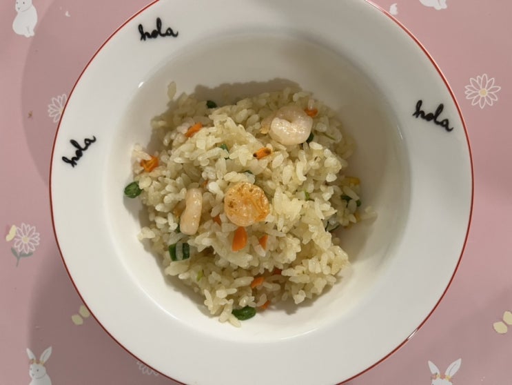  냉동볶음밥 추천 바쁜 일상 속 맛있고 간편한 한 끼! 더상상몰 뚜레반 볶음밥 6종 먹어본 후기