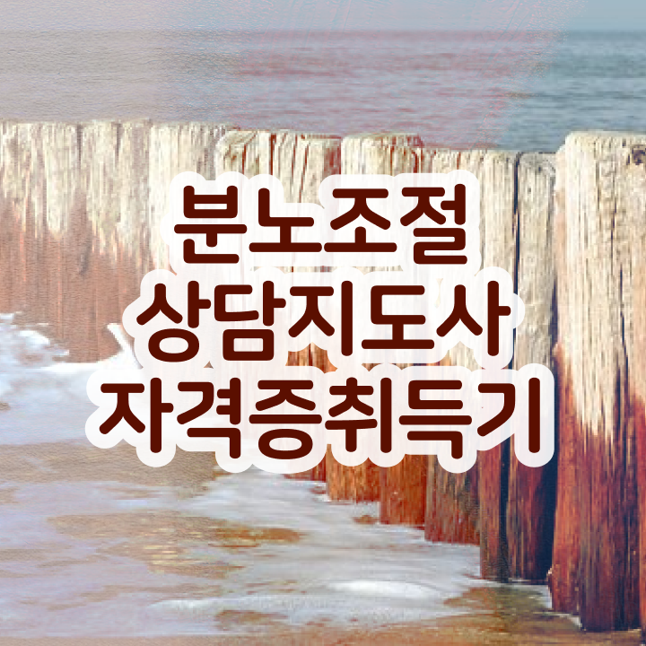  노후 자격증 추천 , 분노조절상담지도사 온라인 교육원 통해서 손쉽게 준비한 과정