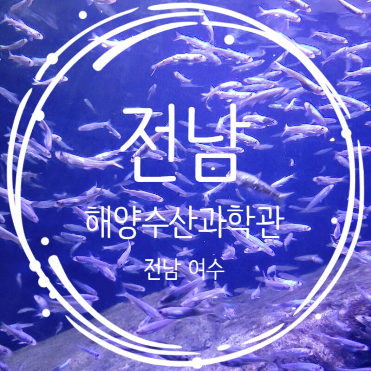  여수 실내 아이와 가볼만한곳 전남해양수산과학관