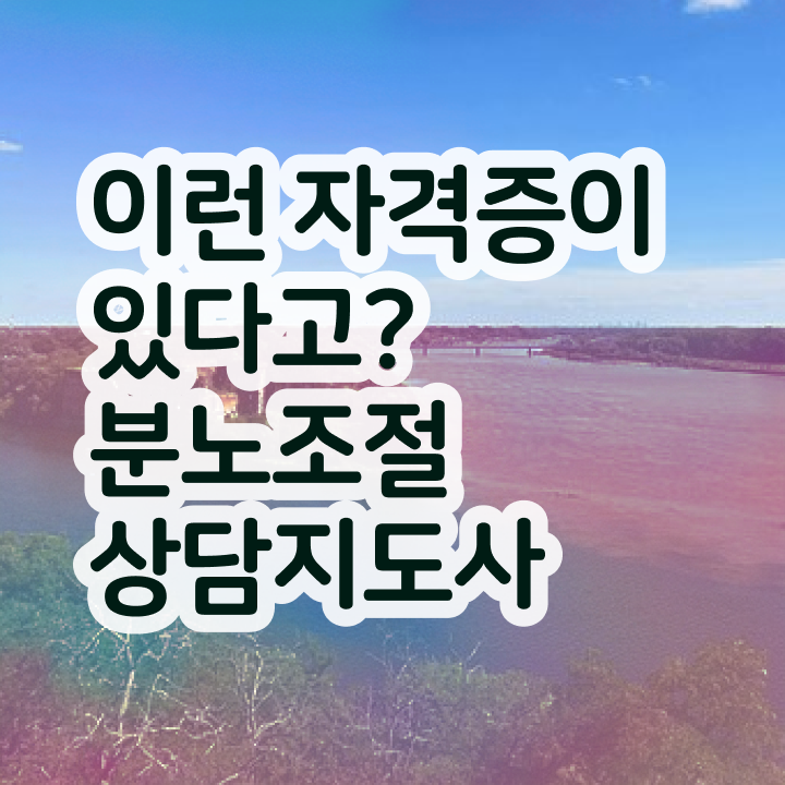  분노조절상담지도사인터넷강의 분노조절상담지도사 1급,2급 동시에 취득방법