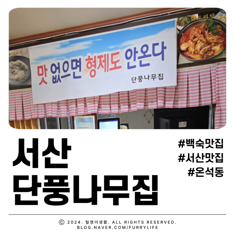 서산 단풍나무집 온석동 백숙 맛집 녹두 삼계탕