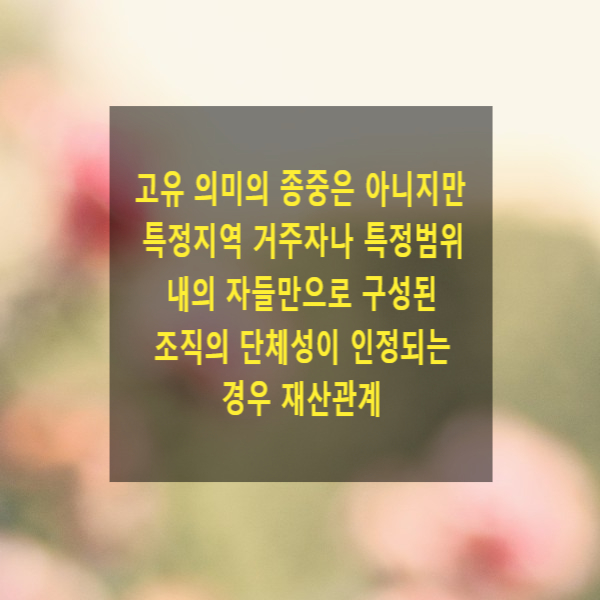  고유 의미의 종중은 아니지만 특정지역 거주자나 특정범위 내의 자들만으로 구성된 조직의 단체성이 인정되는 경우 재산관계(종중유사단체, 명의신탁, 처분금지가처분)