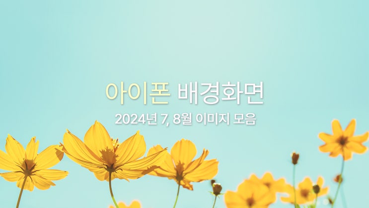  아이폰 15 프로맥스 고화질 폰 여름 배경화면 10종