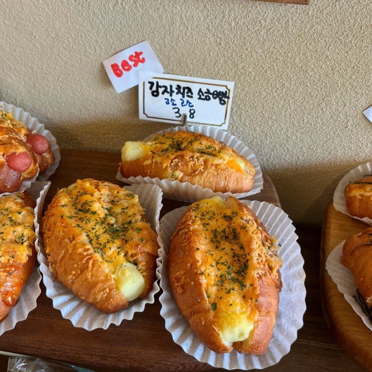  진주 빵지순례 시골하우스! 진주 빵맛집 내돈내산 솔직후기