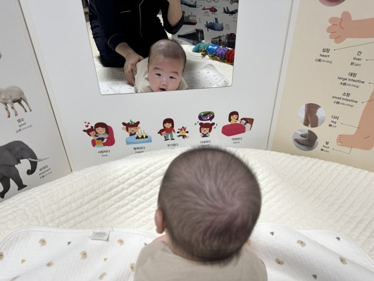  아기병풍 하뚱세이하우스(세이펜) 뒤집기 연습 육아템_내돈내산