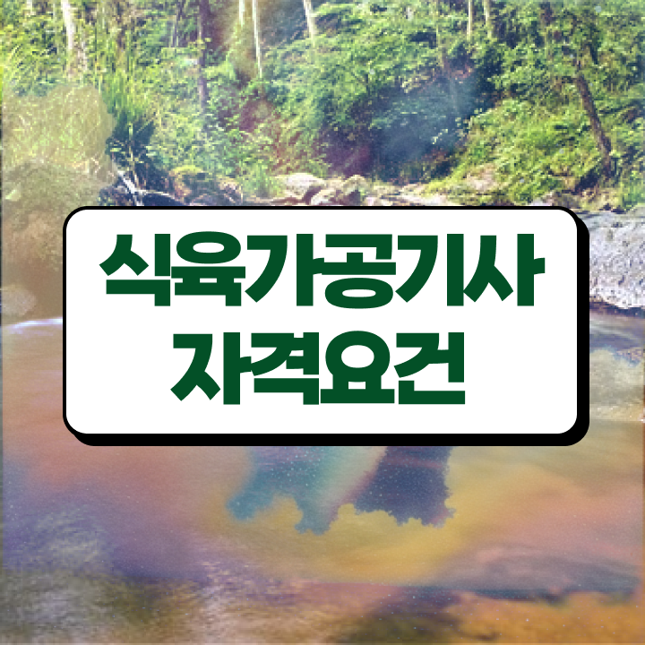  식육가공기사 응시조건 독학으로 단기간에 성공한 과정