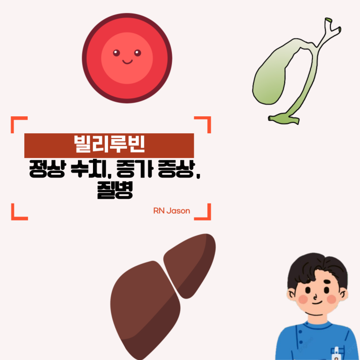  빌리루빈 정상 수치 및 증가 증상 및 질병에 대해 알아봐요~
