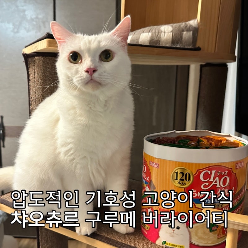 이나바 챠오츄르ㅣ차오츄르 대용량 구루메 닭가슴살&해물 120 후기