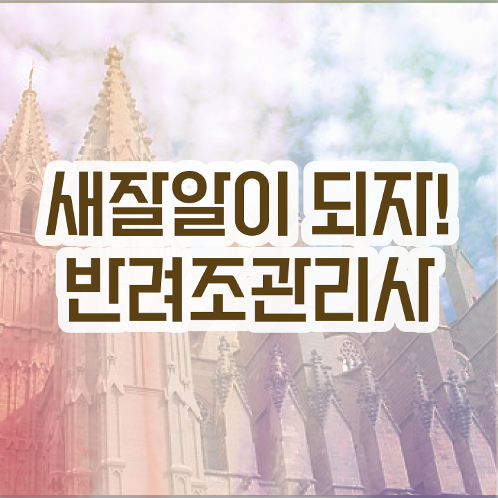  모란앵무 소리 , 반려조관리사 자격증 취득했던 후기 전격분석