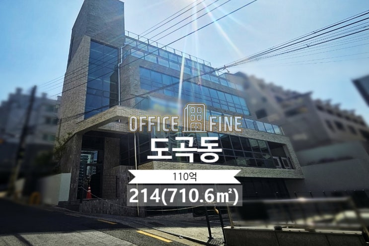  도곡동 신축건물 양재역 6분 건물 매매