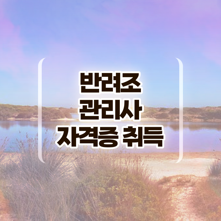  부산 앵무새 , 반려조관리사 자격증 한달 만에 합격한 전략 핵심 정보