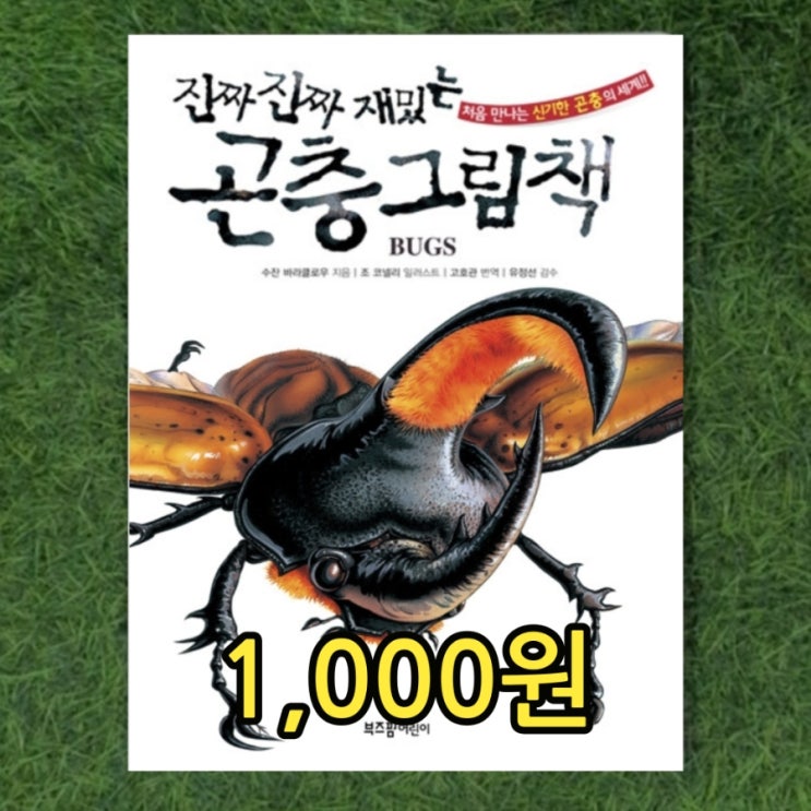  진짜 진짜 재밌는 곤충 그림책 처음 만나는 신기한 곤충의 세계 1,000원 부즈펌 어린이 곤충도감  곤충이야기 일러스트 책 대여보다 싼 아동 중고책 헌책방 중고서점