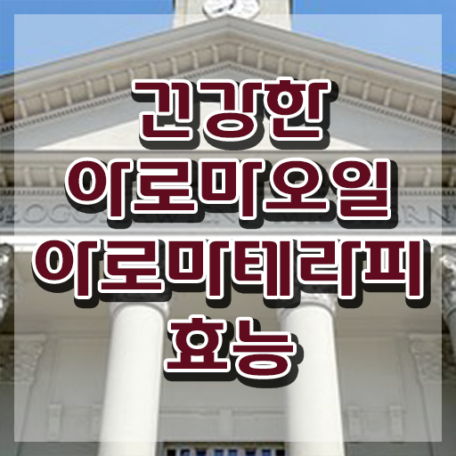  아로마뷰티diy지도사 강사 , 아로마뷰티DIY지도사 자격증 합격한 전략 핵심 정보
