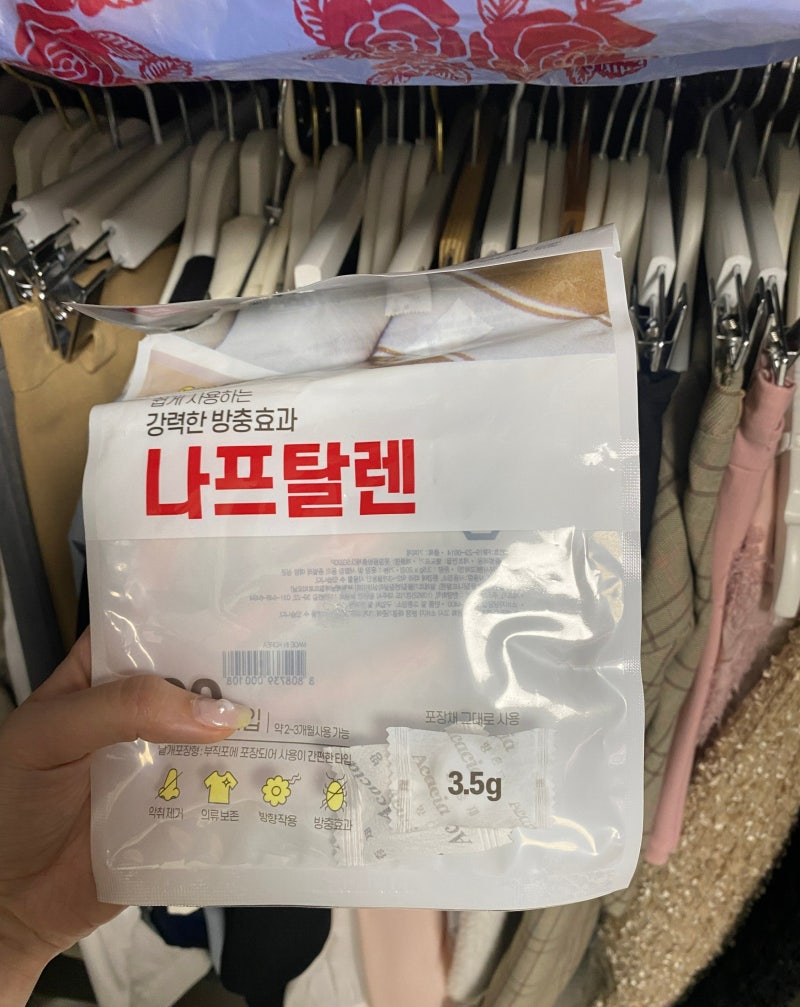 옷장 속 하얀 좀벌레 퇴치 다이소 나프탈렌으로 몇 달 동안 써본 리뷰