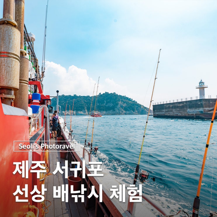  제주도배낚시 초보도 가능한 서귀포 선상낚시 체험