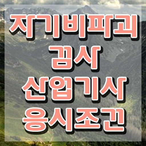  자기비파괴검사산업기사 응시조건 온라인 과정으로 간편하게 완료한 노하우