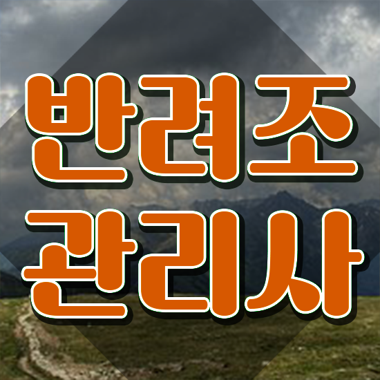  대형 앵무새 분양 , 반려조관리사 자격증 한달 만에 취득한 과정 최단기간 취득한 과정