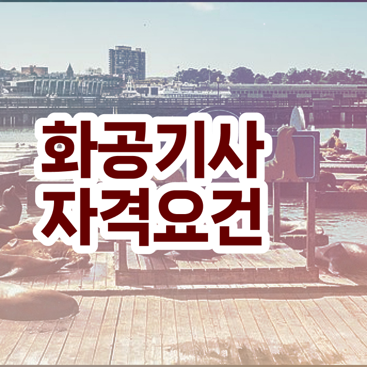  화공기사 전망 화공기사 응시조건 온라인으로 4달 안에 성공한 전략