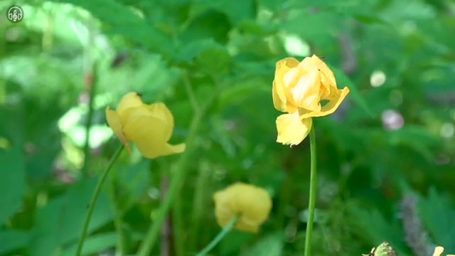  아동발달전문지도사 시험준비물 , 아동발달전문지도사 자격증 한달 만에 합격정보 및 온라인 무료강의
