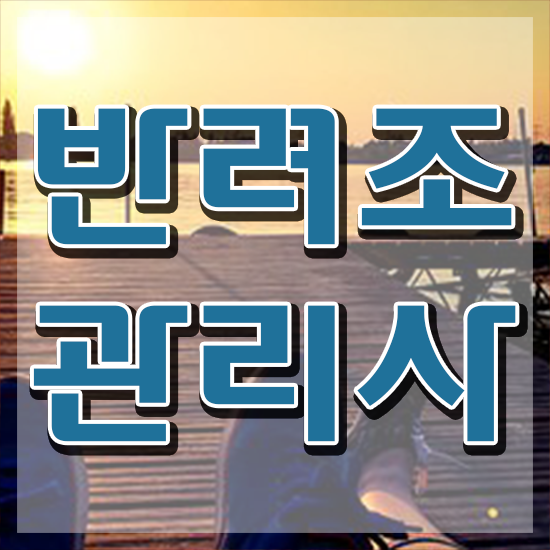  말하는 앵무새 카페 , 반려조관리사 자격증 비용없이 온라인으로 합격한 비법 및 무료수강 혜택