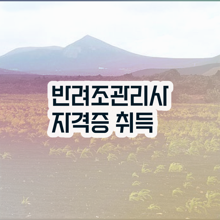  유리 앵무새 키우기 , 반려조관리사 자격증 비용없이 온라인으로 합격한 비법 , 온라인 무료강의