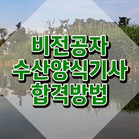  수산양식기사 시험응시자격 온라인으로 단기간에 준비한 비법