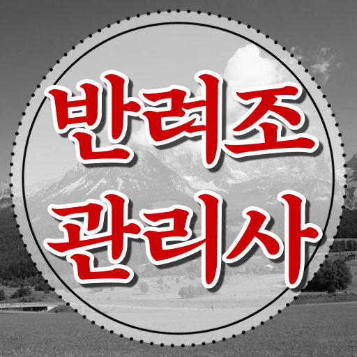  대형 앵무새 분양 , 반려조관리사 자격증 취득한 방법 정리해봤어요