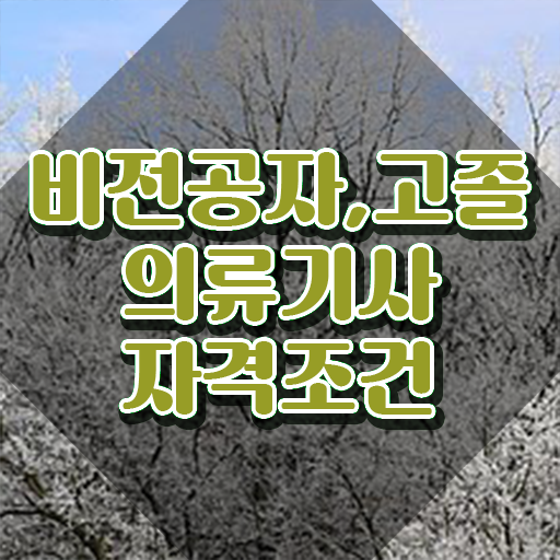  의류기사 취득자격 인강으로 5달만에 끝낸 전략