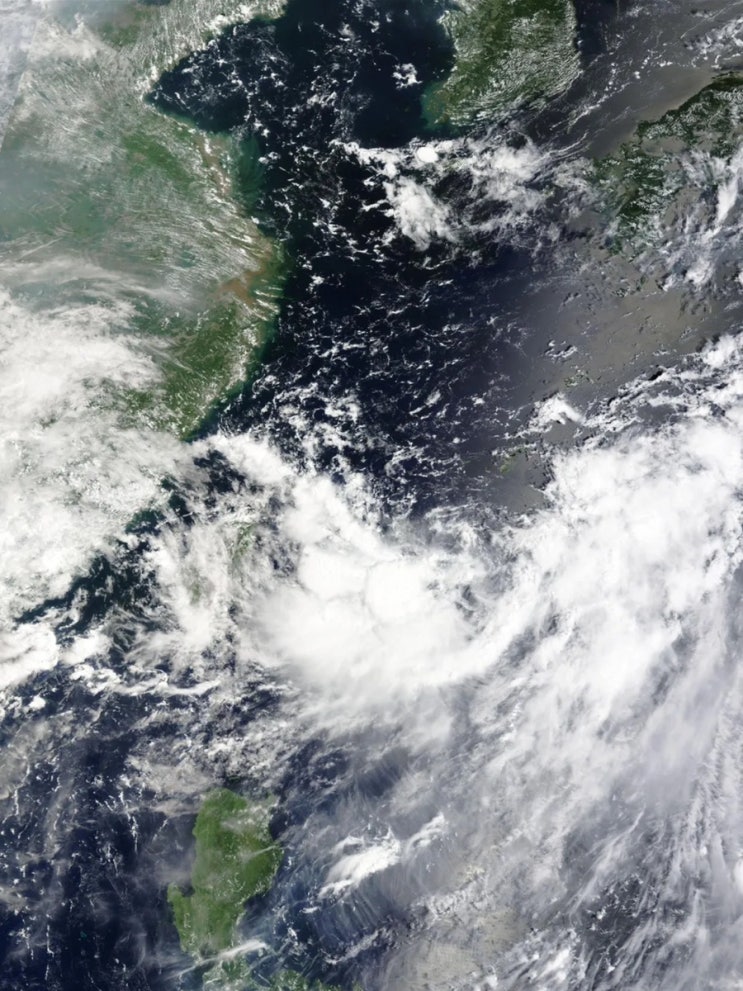 제9호 <b>태풍</b> '<b>종다리</b>' 한반도 북상 중